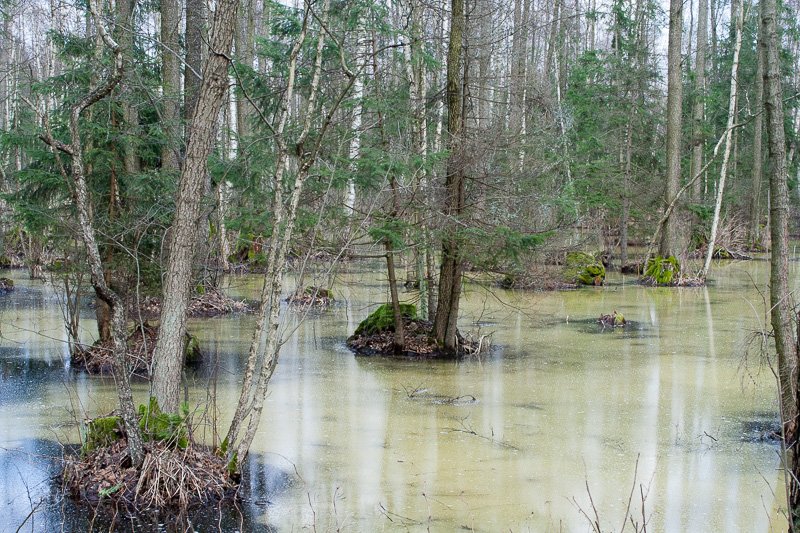 Biebrzański Park Narodowy